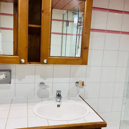 Διαμέρισμα La Ginabelle With Pool & Balcony Σαμονί